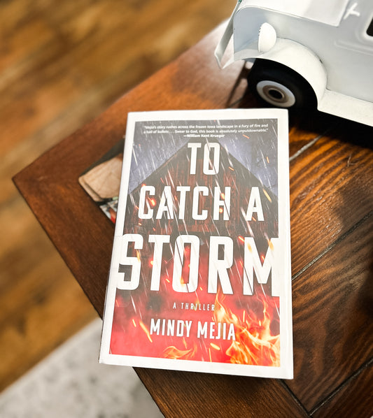 Book Review - To Catch a Storm