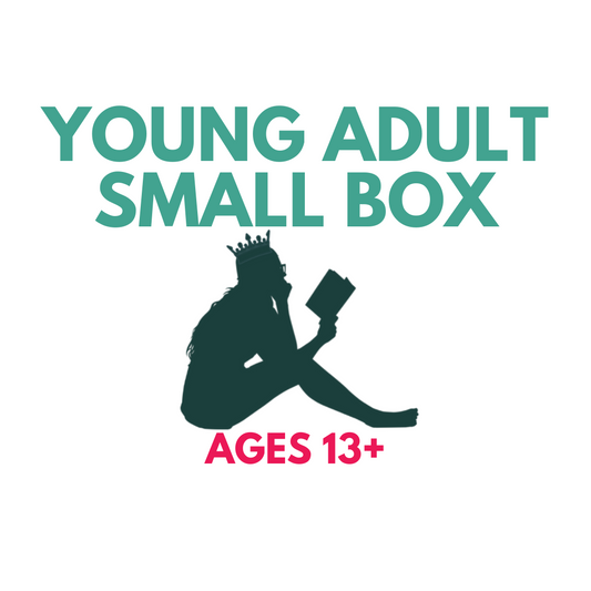 Young Adult Small Book Box (Ages 13+)