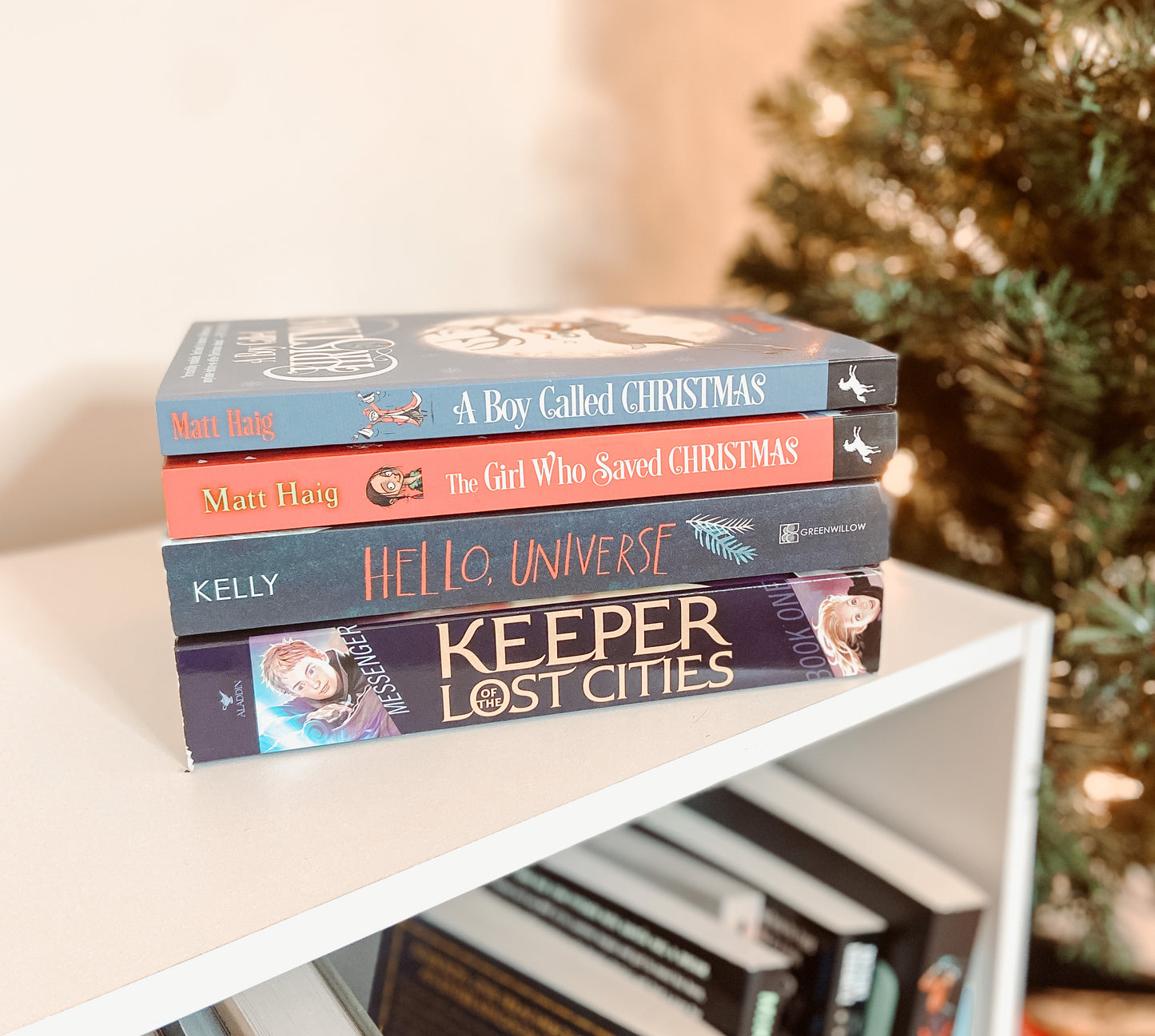 Children's Large Book Box (Ages 10-12)